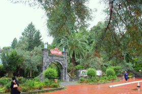 Bahçeden bardağa Çay