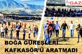 BOĞA GÜREŞLERİ KAFKASÖR’Ü ARATMADI