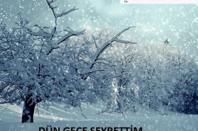 DÜN GECE SEYRETTİM ( Şiir Dünyası )