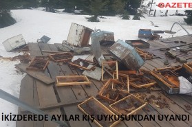 İKİZDEREDE AYILAR KIŞ UYKUSUNDAN UYANDI