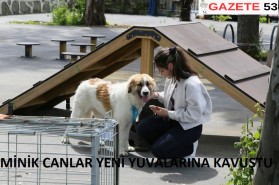 -MİNİK CANLAR YENİ YUVALARINA KAVUŞTU