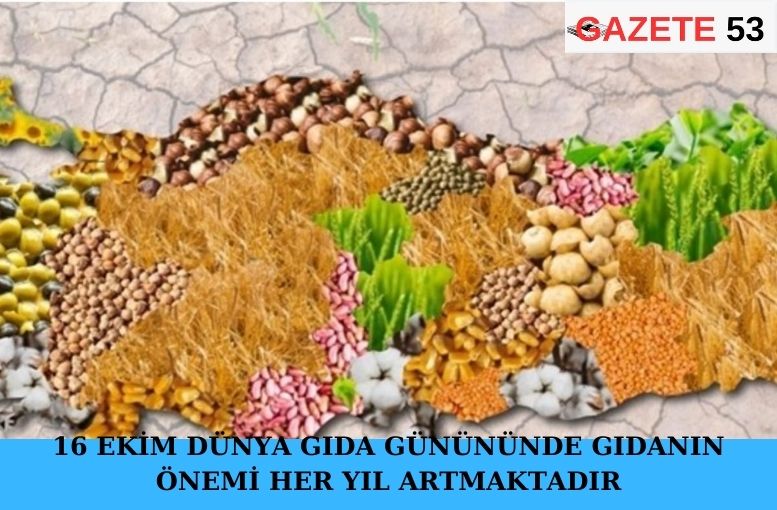 16 EKİM DÜNYA GIDA GÜNÜNÜNDE GIDANIN ÖNEMİ HER YIL ARTMAKTADIR