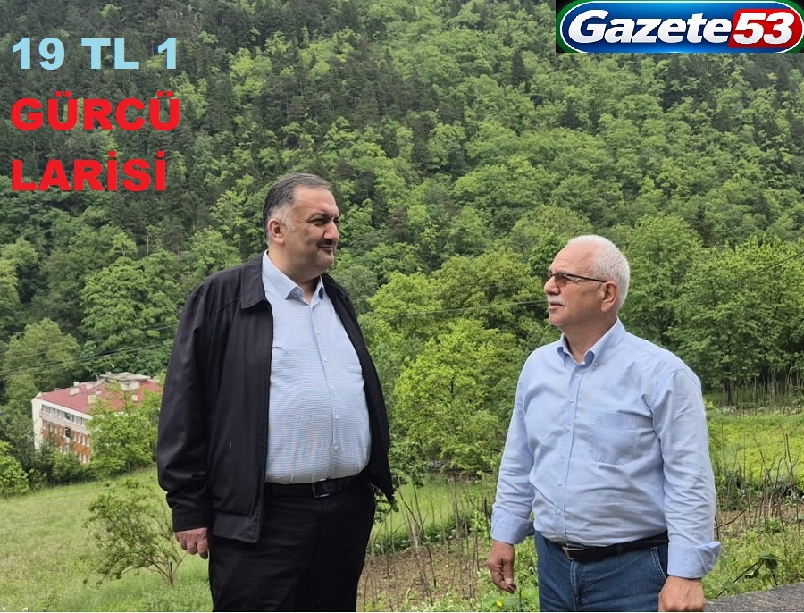 19 TL 1 GÜRCÜ LARİSİ