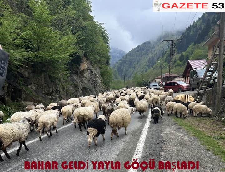 BAHAR GELDİ YAYLA GÖÇÜ BAŞLADI