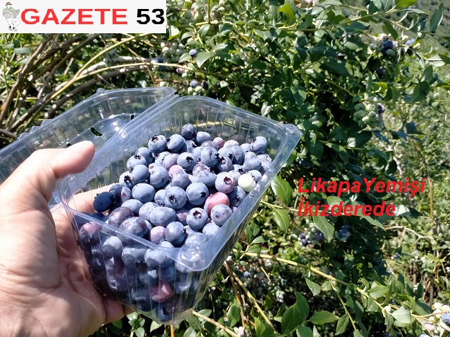 LikapaYemişi İkizderede